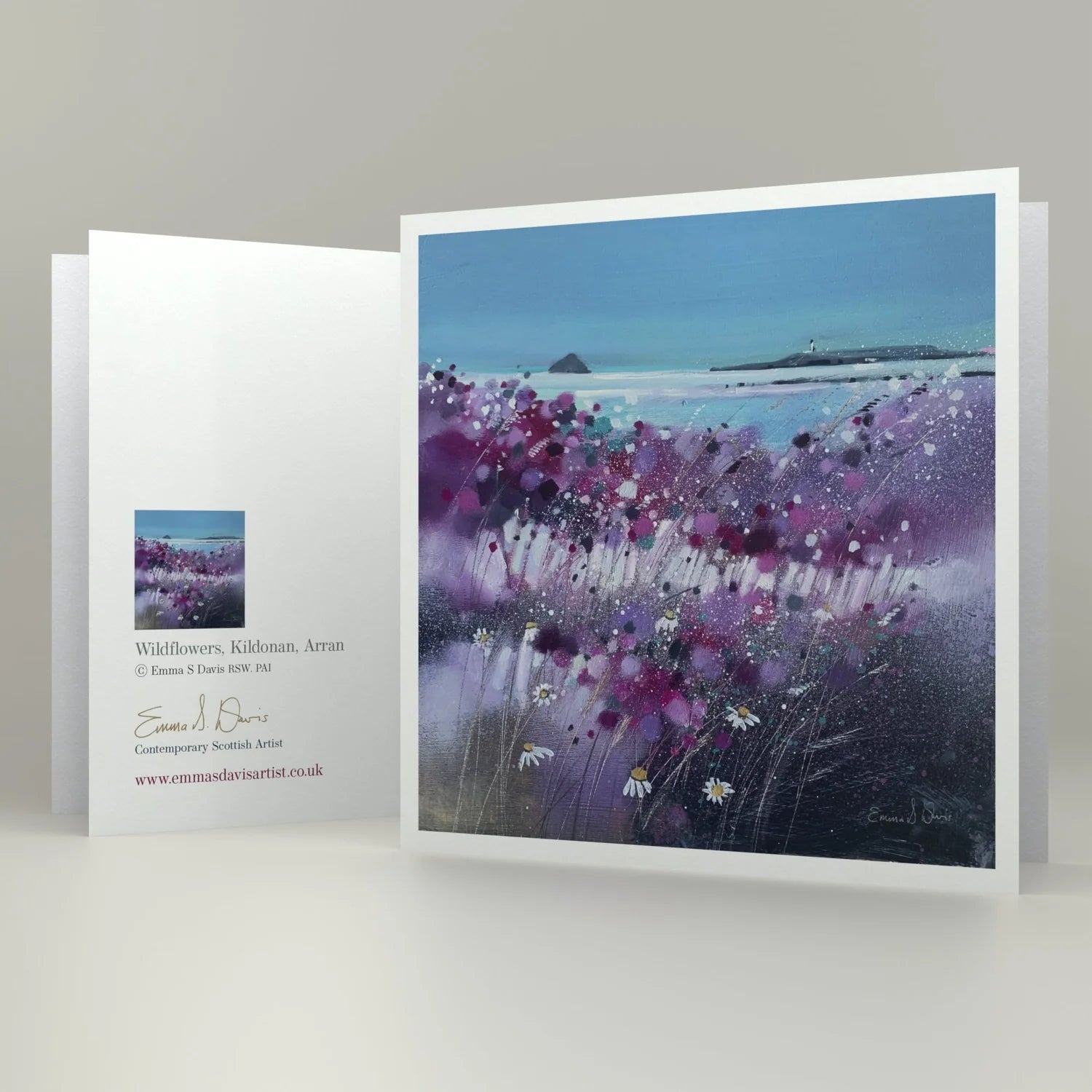 Greeting Card 'Wildflowers, Kildonan, Arran'