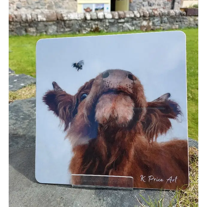 Bee Friends Coaster - Melamine - Scottish Home