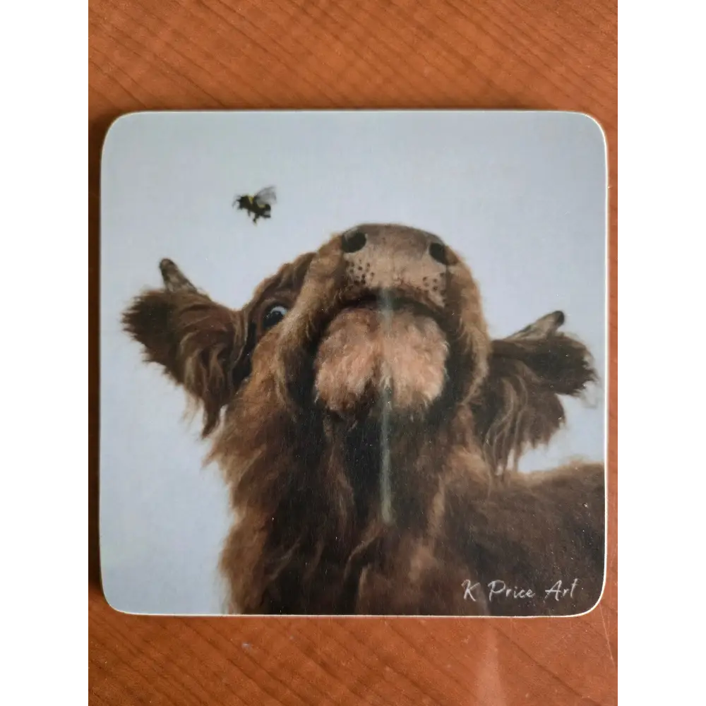 Bee Friends Coaster - Scottish Home