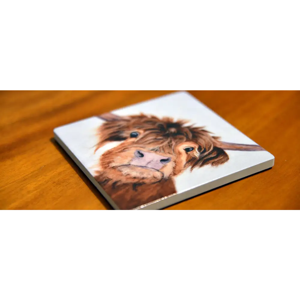 Bee Friends Coaster - Scottish Home