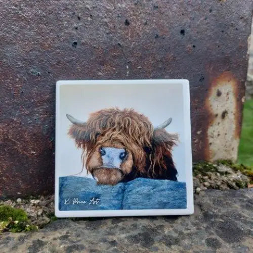 Hey Pal Ceramic Coaster - Scottish Home