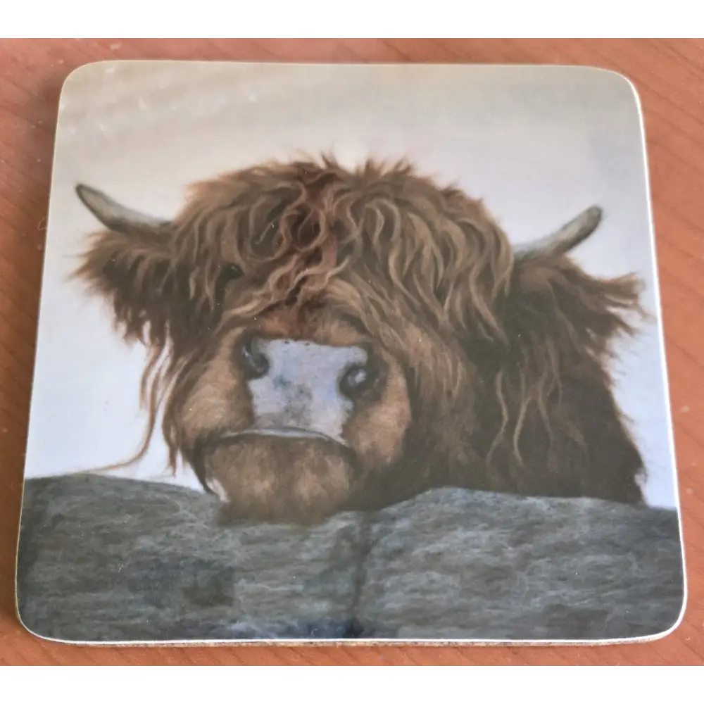 Hey Pal Melamine Coaster - Scottish Home