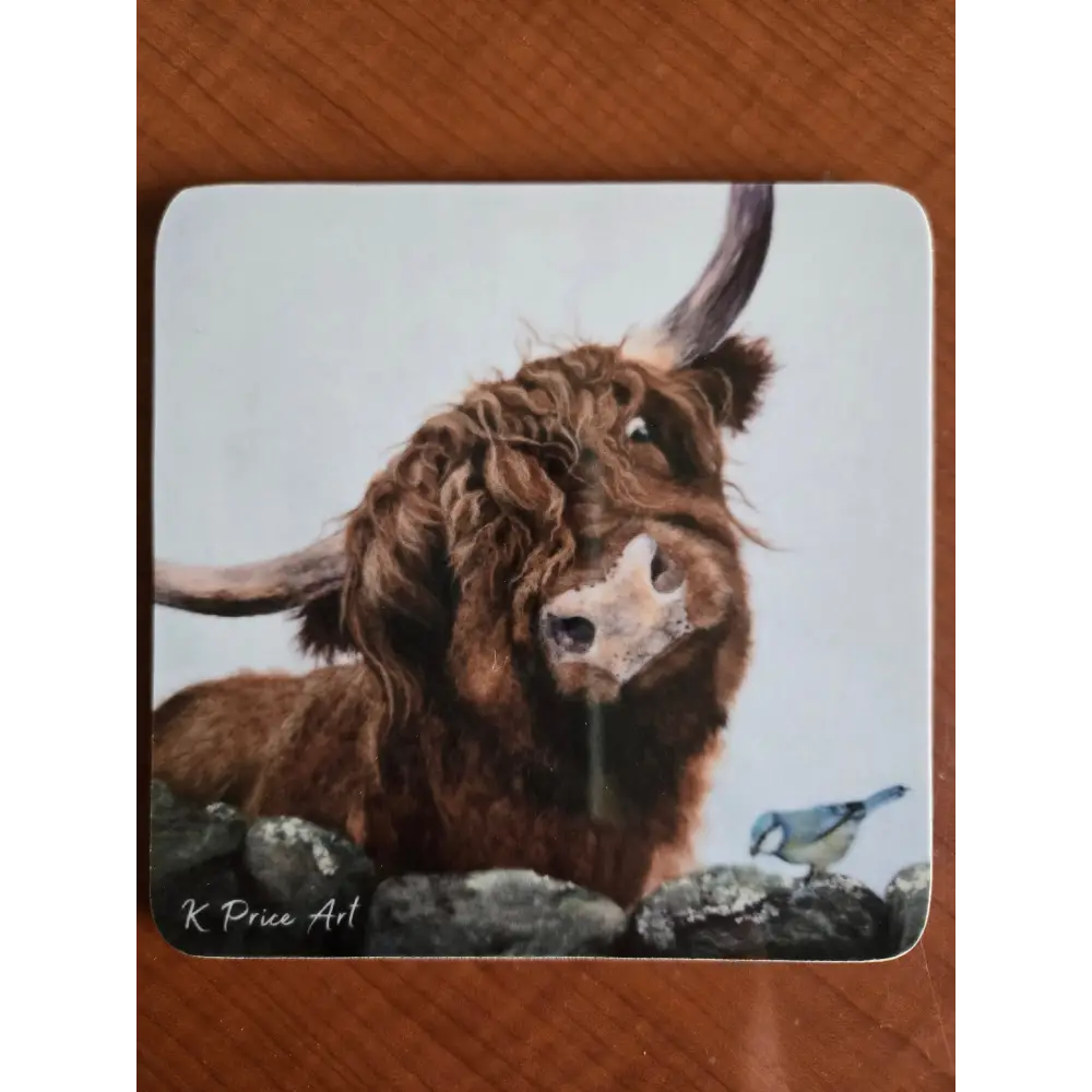 Little Birdie Coaster - Melamine - Scottish Home