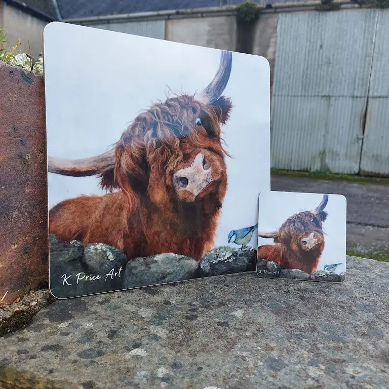 Little Birdie Coaster - Scottish Home