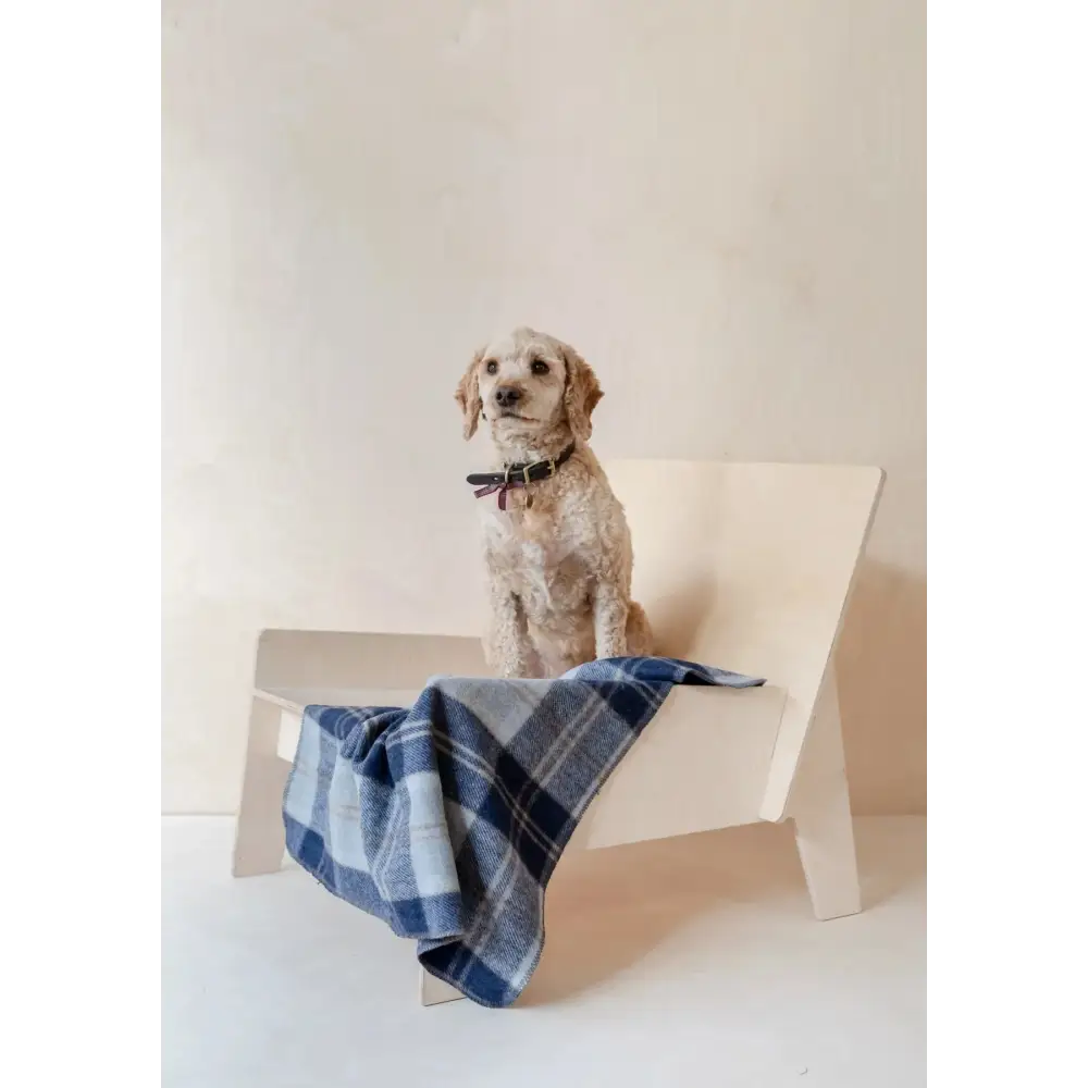 Recycled Wool Pet Blanket in Bannockbane Silver Tartan - Small
