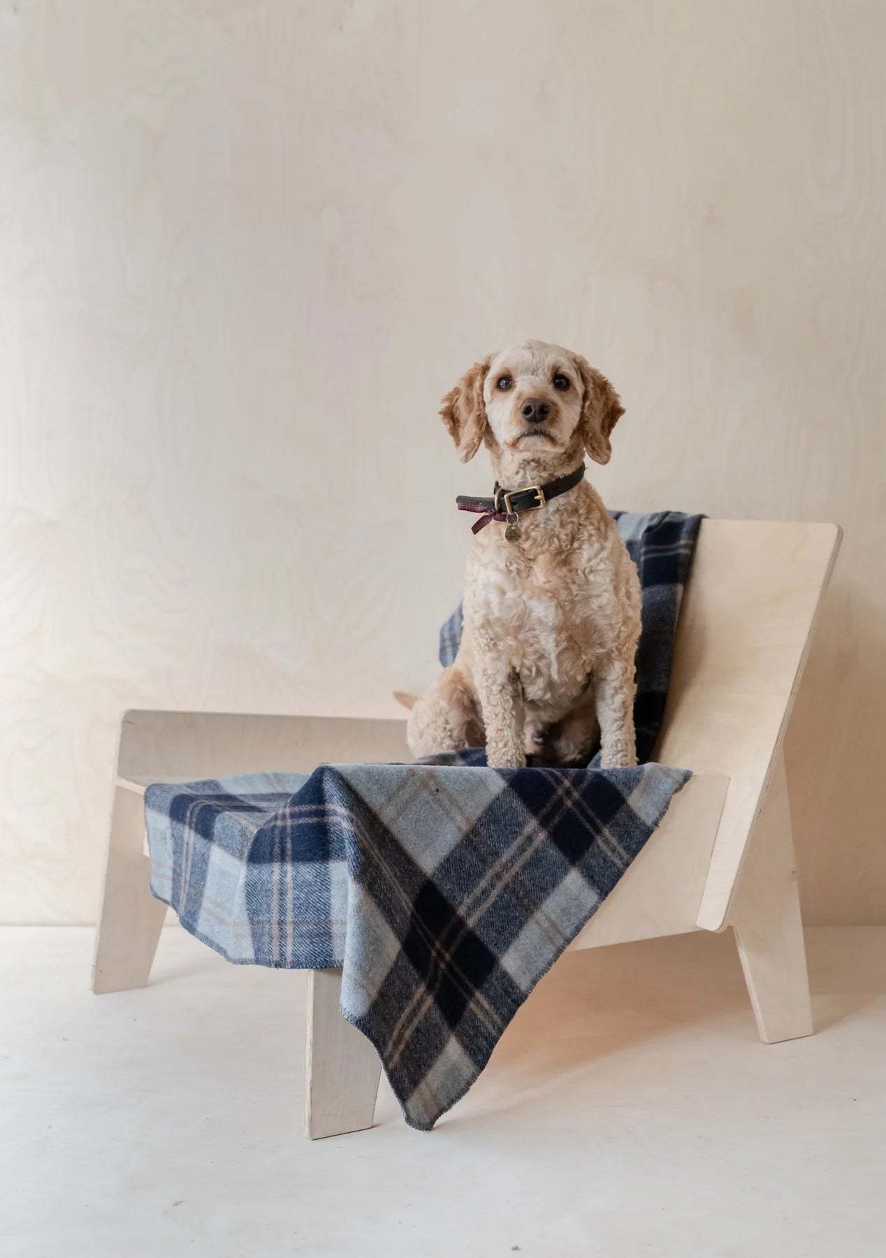 Recycled Wool Pet Blanket in Bannockbane Silver Tartan | TBCo | Scottish Creations