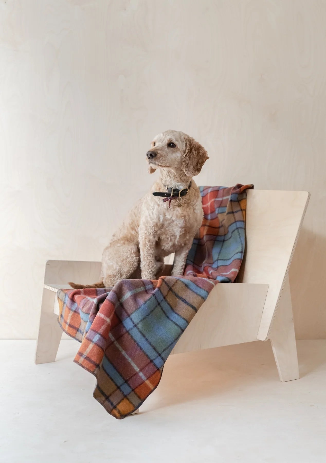 Recycled Wool Pet Blanket in Buchannan Antique Tartan | TBCo | Scottish Creations
