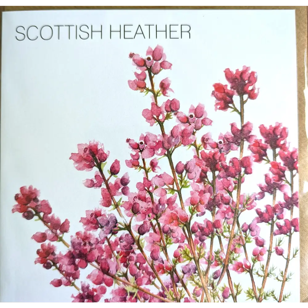 Scottish Heather Card - Art