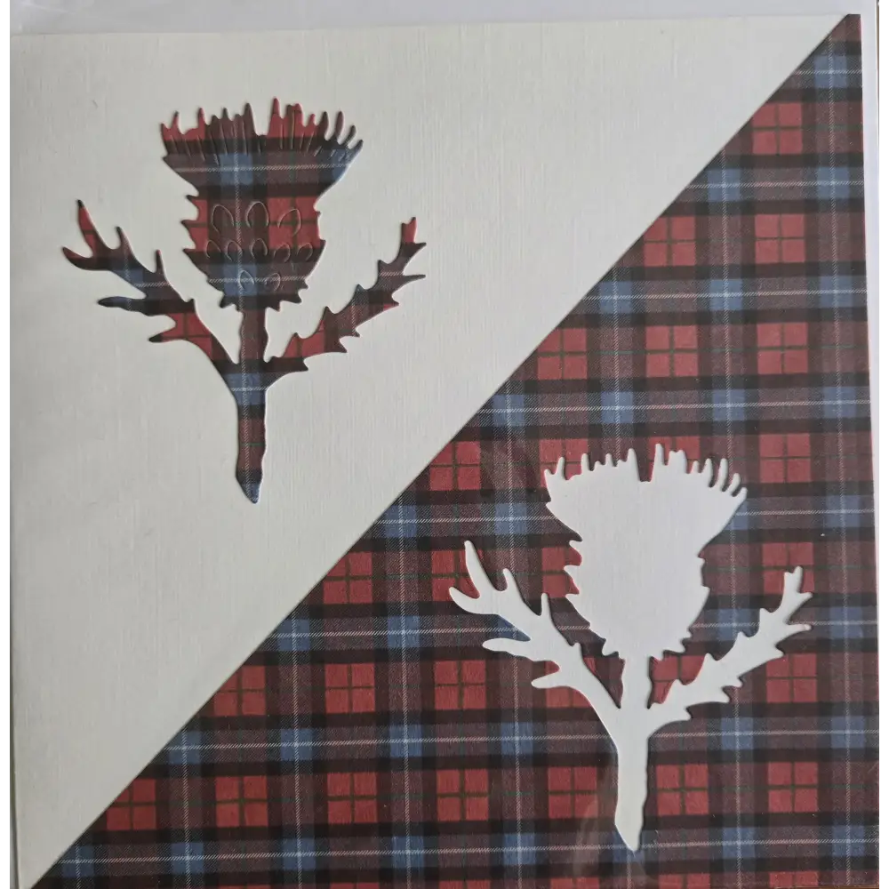 Scottish Thistle on Red & Blue Tartan Card - Art