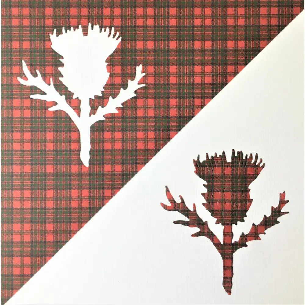 Scottish Thistles on Red Tartan Card - Art