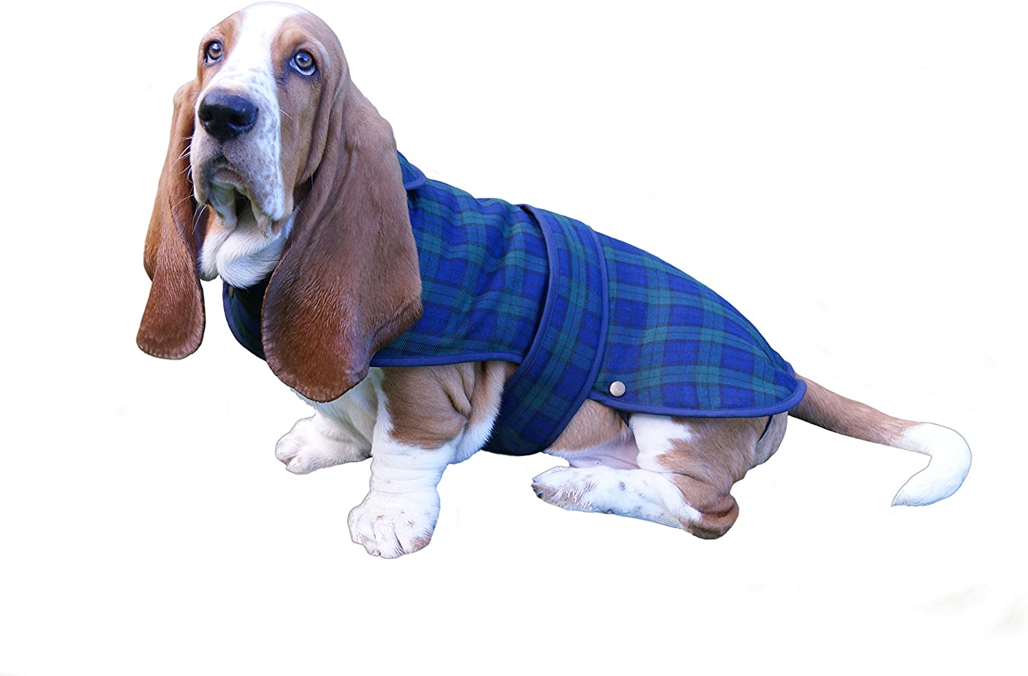 Blue tartan deals dog coat