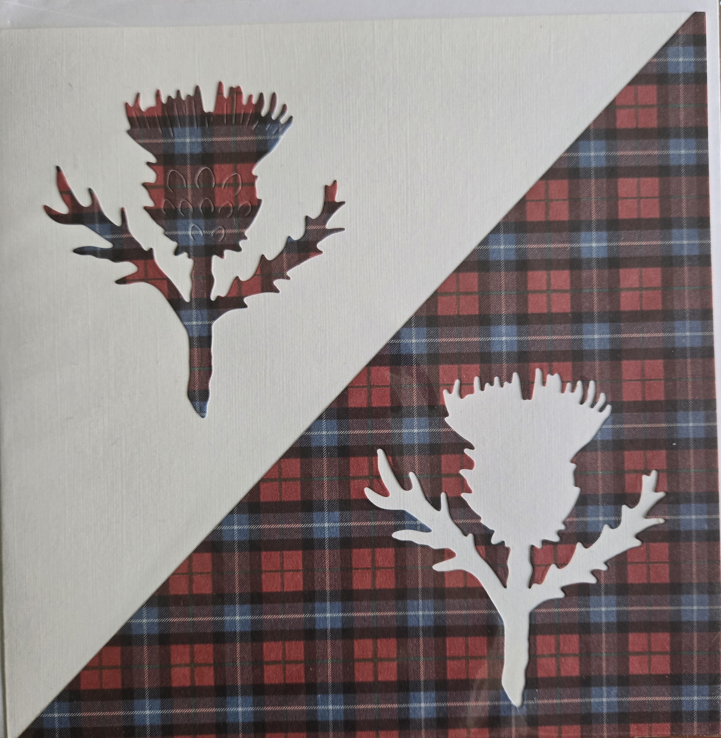 Scottish Thistle on Red & Blue Tartan Card