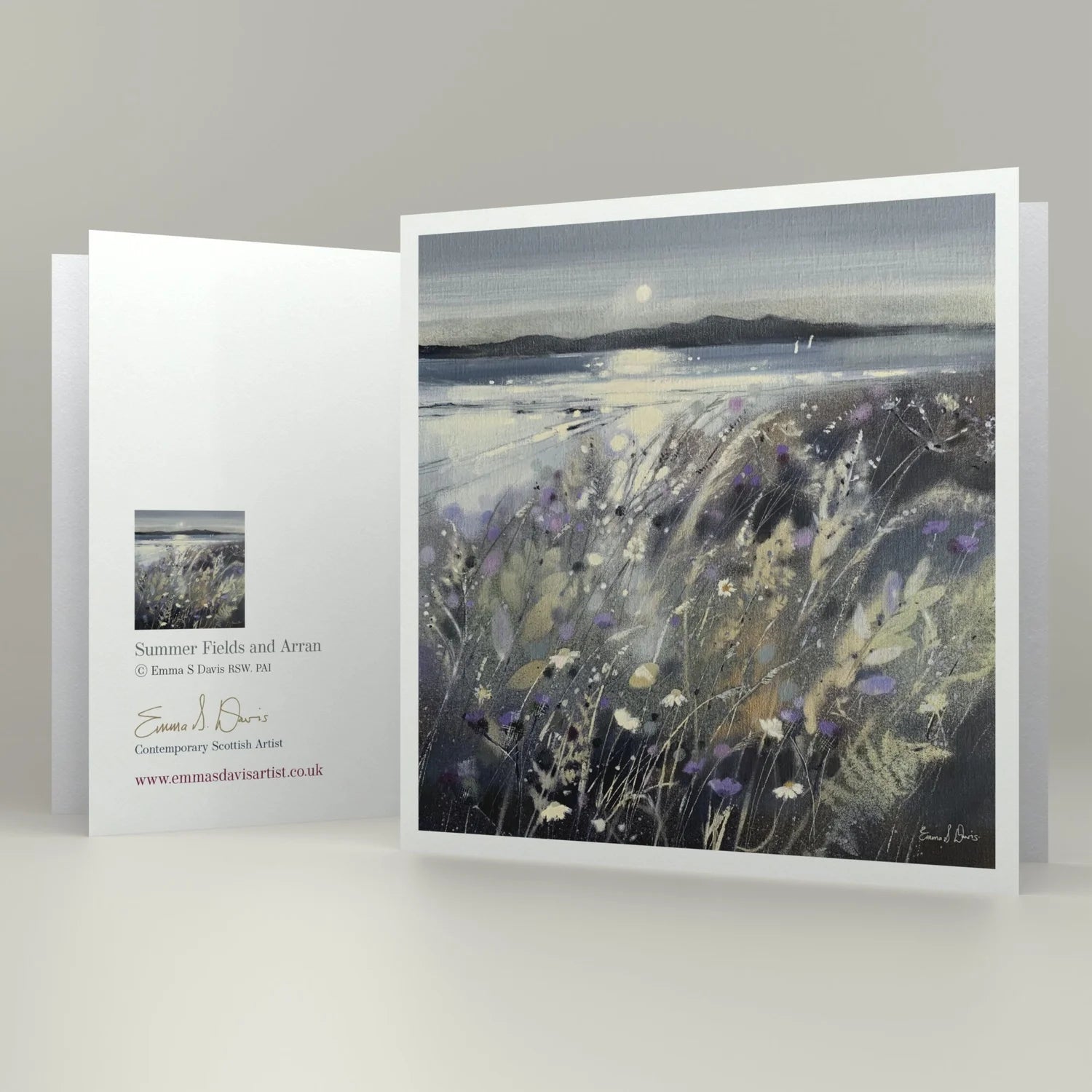 Greeting Card 'Summer Fields and Arran'