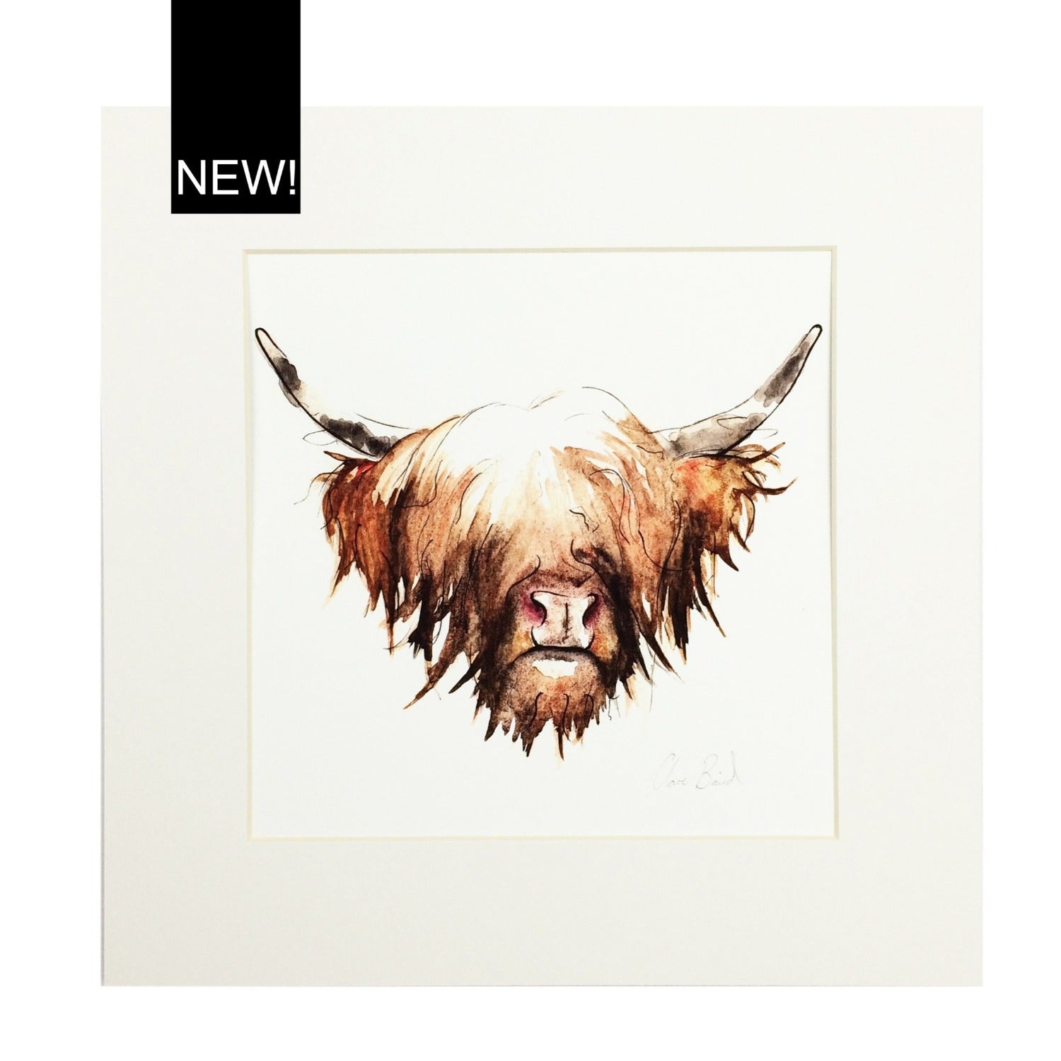 Highland Cow Print | Clare Baird | Scottish Creations