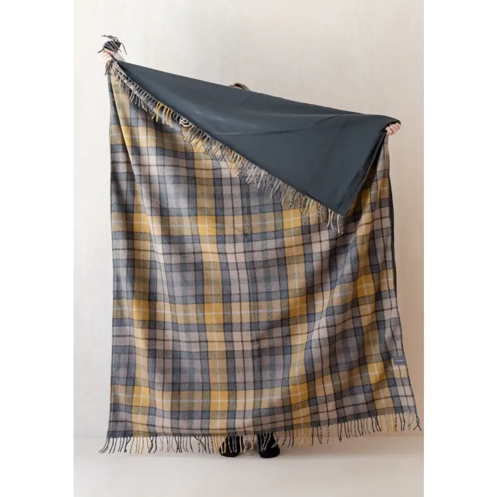 Picnic Blanket in Buchanan Natural Tartan