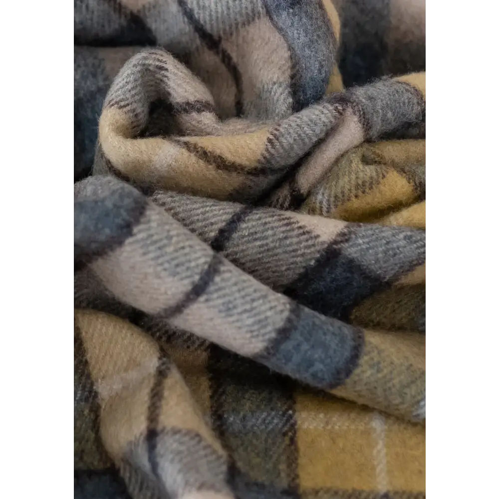 Picnic Blanket in Buchanan Natural Tartan