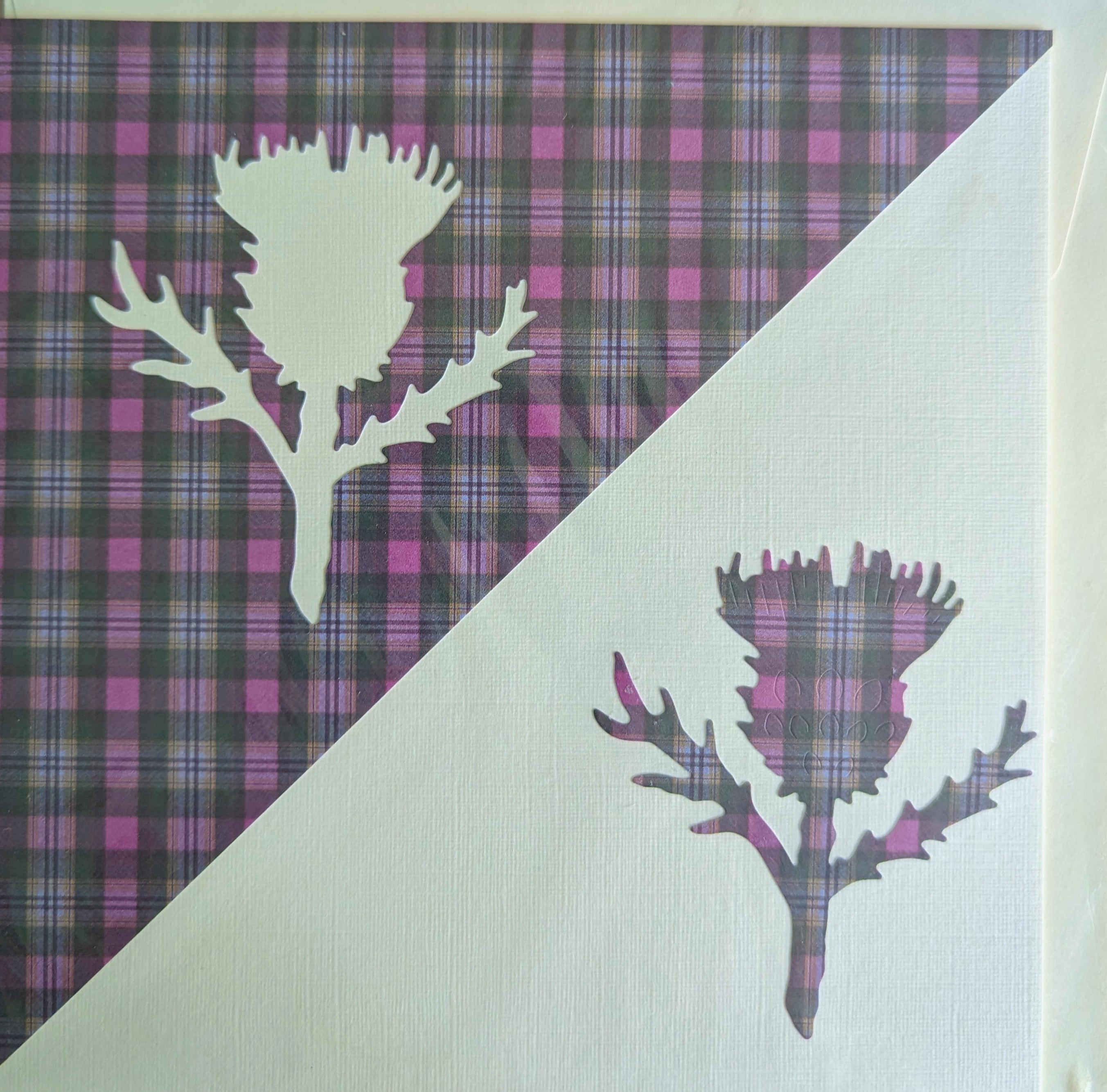 Purple Thistle on Tartan Card | Roseneath Studios | Scottish Creations