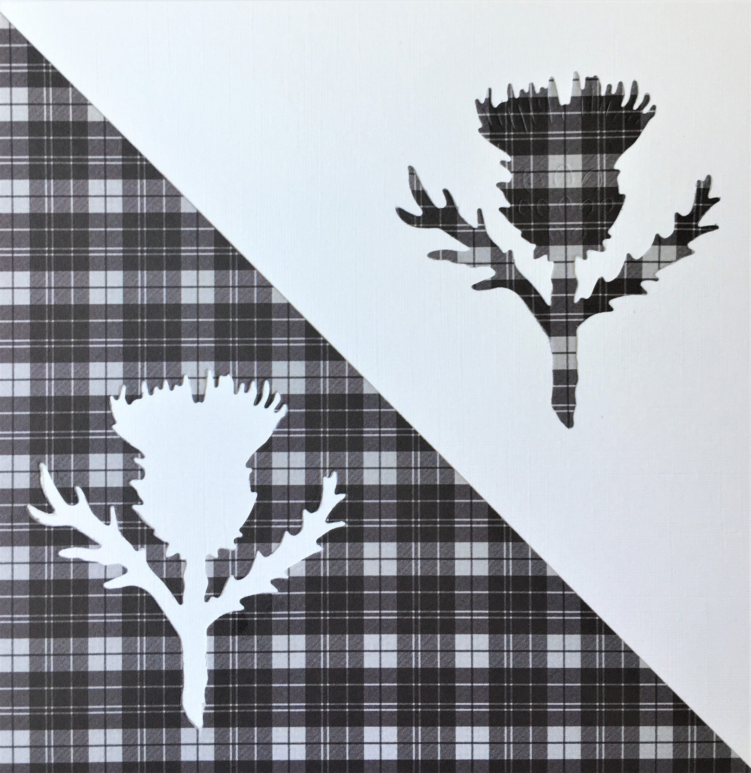 Scottish Thistle on Black Tartan Card | Roseneath Studios | Scottish Creations