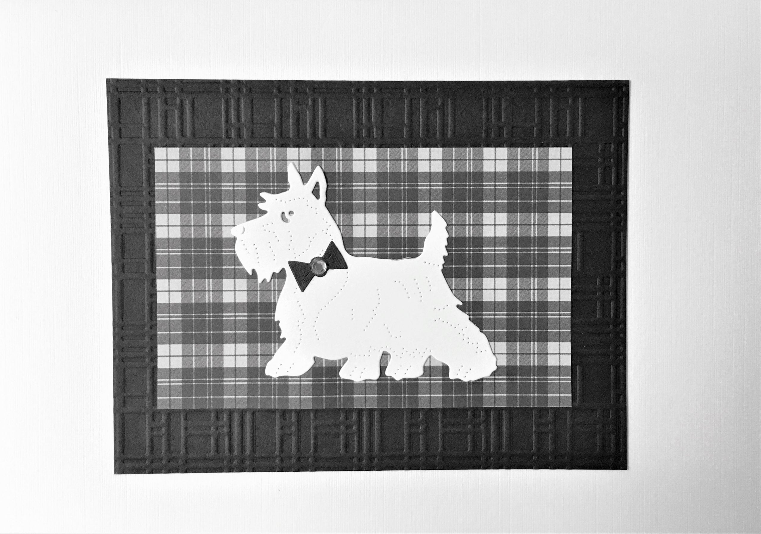 Westie on Black & White Tartan Card | Roseneath Studios | Scottish Creations