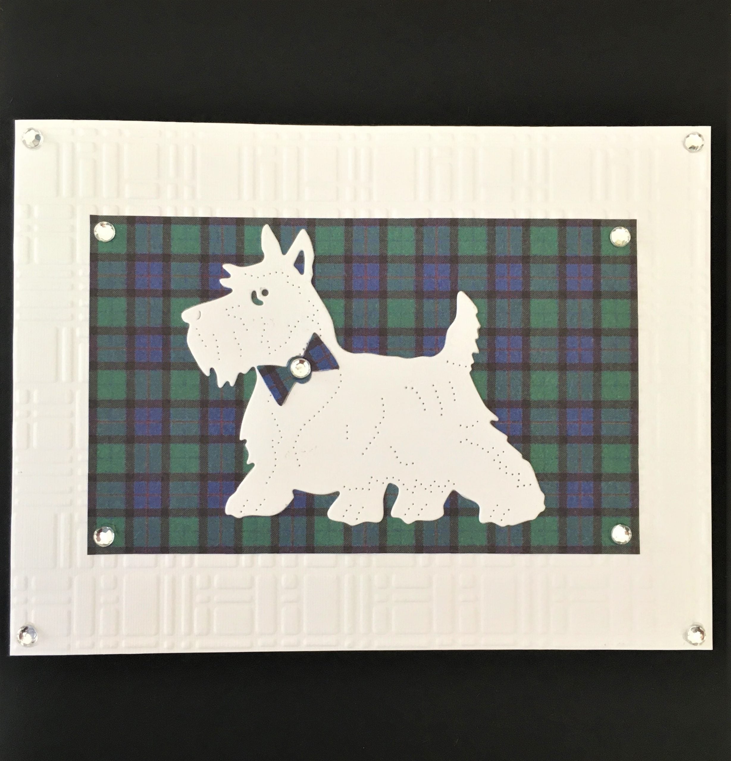 Westie on Blue Tartan Card | Roseneath Studios | Scottish Creations
